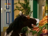 Folge2337-3