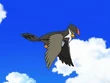 EE08 Staraptor