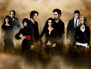 The-Cullens-the-cullens-8192869-600-453