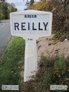 60D006 - Reilly-B