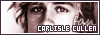 Carlislecullen