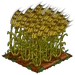 Rye extra100