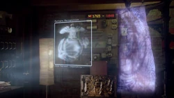 Projector (5)
