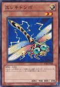 Wattdragonfly-STBL-JP-C