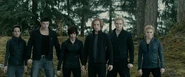 Twilightxchange0000001022