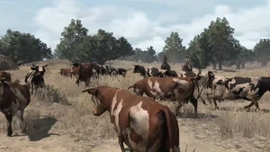 Rdr women cattle