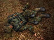 Lingov dead