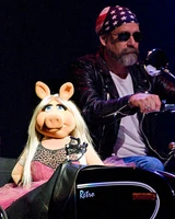 HarleyPiggy4