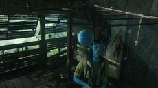 New Footage 00005
