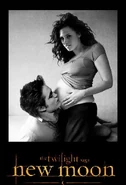 Twilight-120988