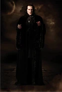 Marcus volturi