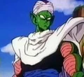 Piccolo30