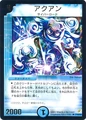 Dm-p16-y1