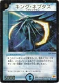 Dm-p12-y1