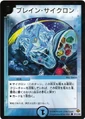 Dm-p11-y5