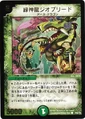 Dm-p56-y5