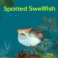 Image of Spotted Swellfish