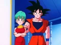 GokuBulmaFriendship