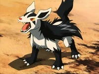 P06 Mightyena