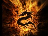 800-FlameDragon2