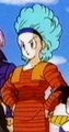 Bulma2