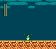 MM2-LeafShield-SS