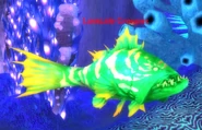 Luxscale-Grouper-3