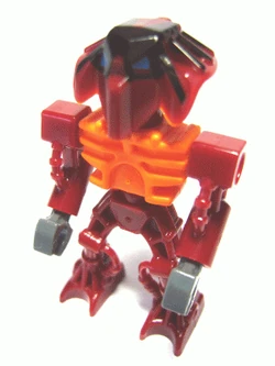 Bio019