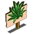 Agave