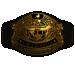 Standard 75x75 collect belt5 01.gif