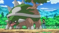 Ash's Torterra.png