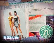 Twins detailed