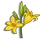 Daylily-icon