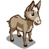 Mule Baby-icon.png