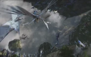 Aerial fight ToS