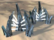 SeraphimHaas