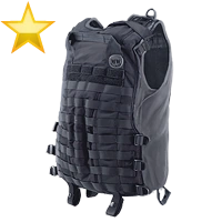 Huge item ballisticvestgold 01.png
