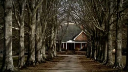 Gibbons house