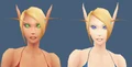 Elffemalemodels.png