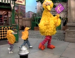 3457bigbirdk