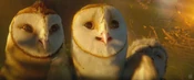 Trailer11
