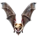 Item fearandloathing 01.png