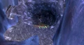 Avalanchion's Vault entrance.jpg