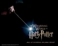 HP Wallpaper 01.jpg