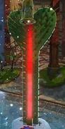 CactusO'StrengthNB