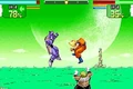 Dbzssw 005-large