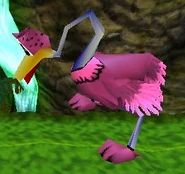 Ostrich