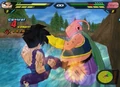 Dbzwii2