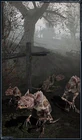 http://stalker.wikia