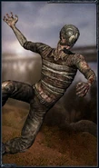 http://stalker.wikia